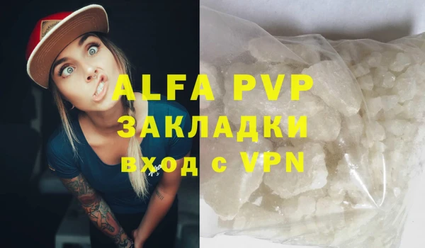 шишки Белокуриха