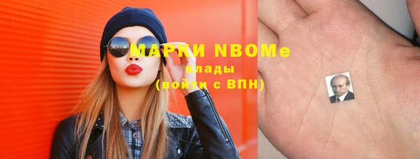 шишки Белокуриха