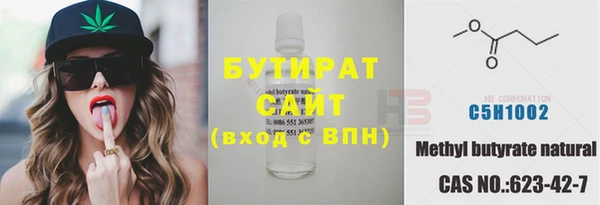 шишки Белокуриха