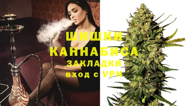 шишки Белокуриха