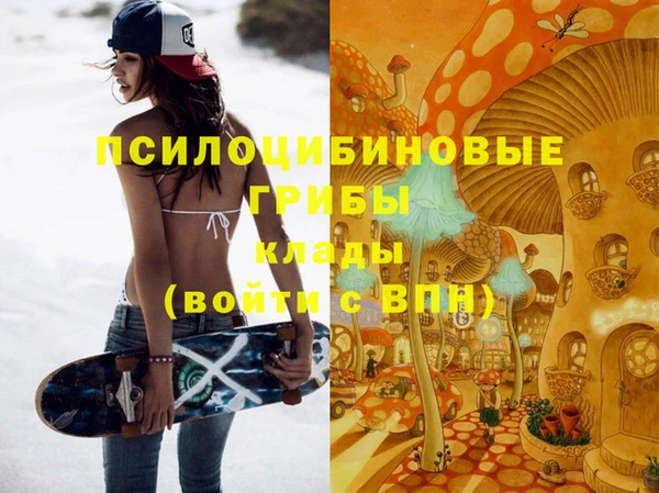 шишки Белокуриха