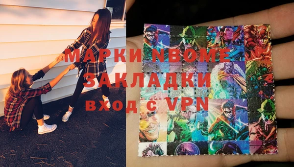 шишки Белокуриха